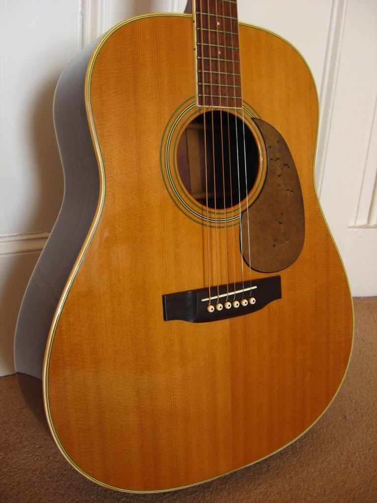 vintage japanese acoustics: Pearl TF-145